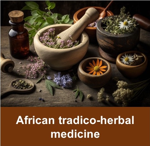 African traditional medicine: Seed, oils, flowers, plants