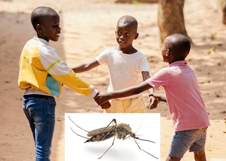 African children holding hands while playing outdoors with image of anopheles mosquito in the foreground.