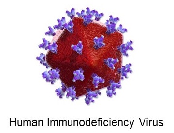 Representation of the HIV virus
