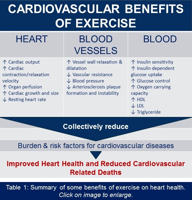 Cardiovascular benefits of exercise