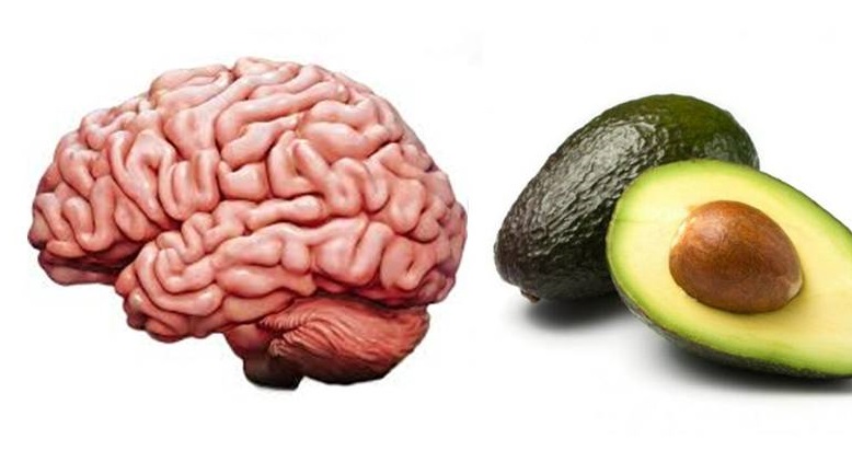 Avocado promotes brain health