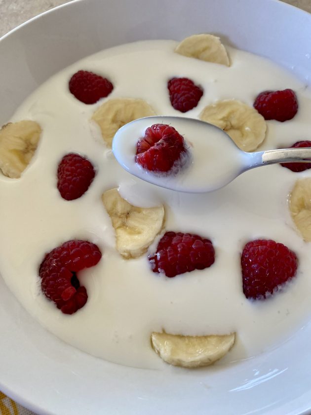 Bowl of homemade yoghurt with fruits