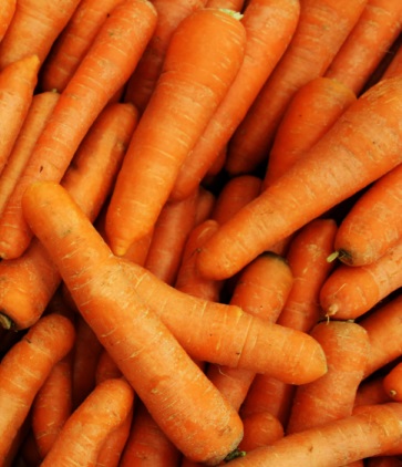 Fresh carrots