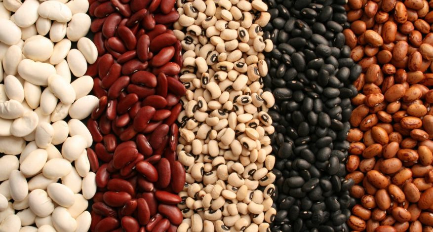 A small sample of varieties of beans in Africa