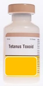Vial of Tetanus Toxoid