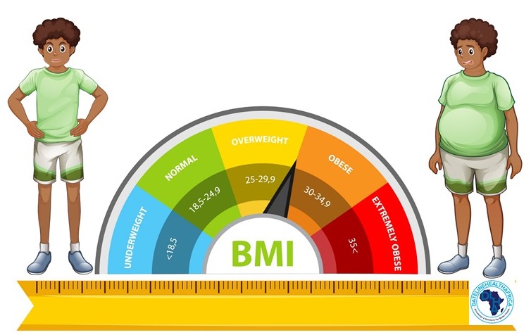 BMI chart with color-coded weight categories and two boys, one slim and one overweight